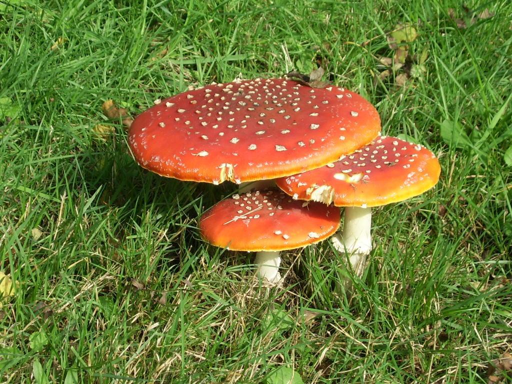 Bosbeekvallei Opoeteren 外观 照片